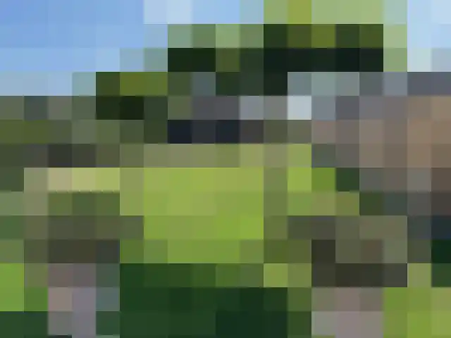 Veenendaalsestraatweg 18 Elst Ut thumbnail 5