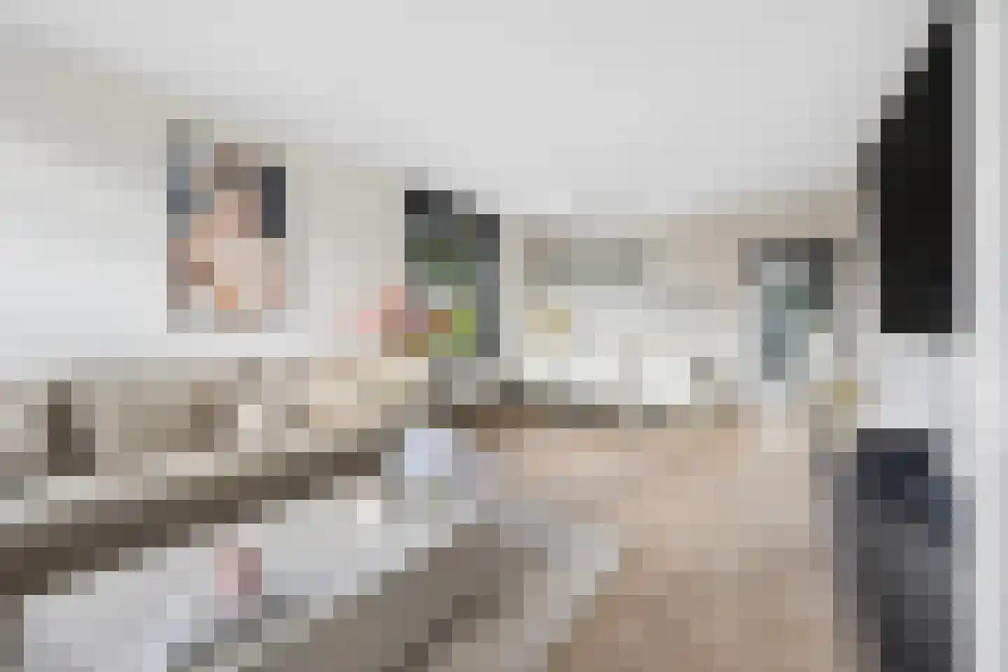 Veenendaalsestraatweg 25 Elst Ut thumbnail 10