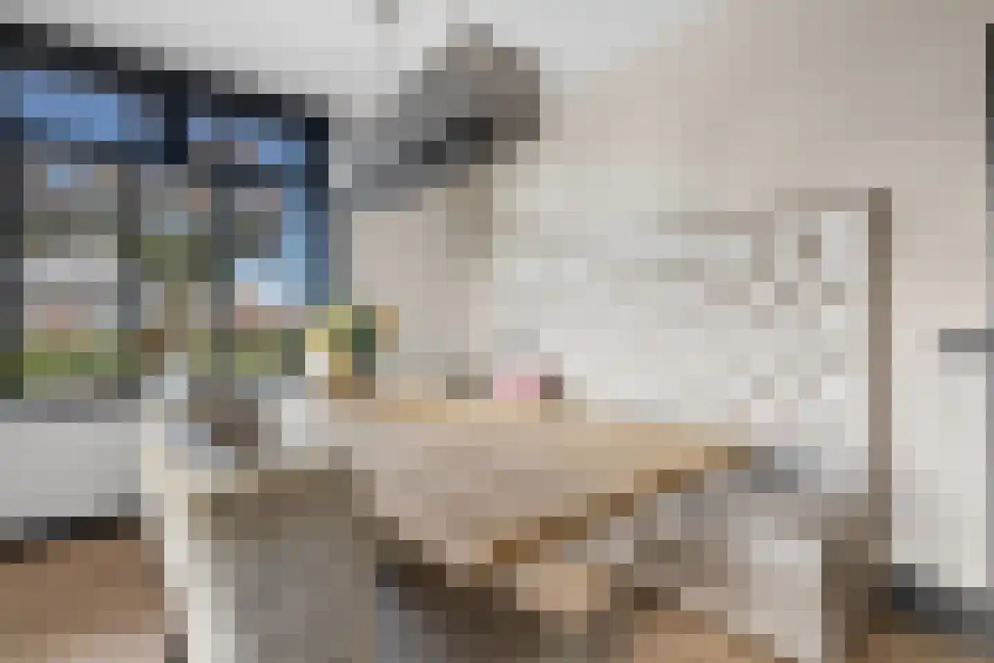 Veenendaalsestraatweg 25 Elst Ut thumbnail 11