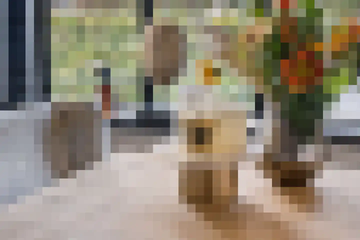Veenendaalsestraatweg 25 Elst Ut thumbnail 12