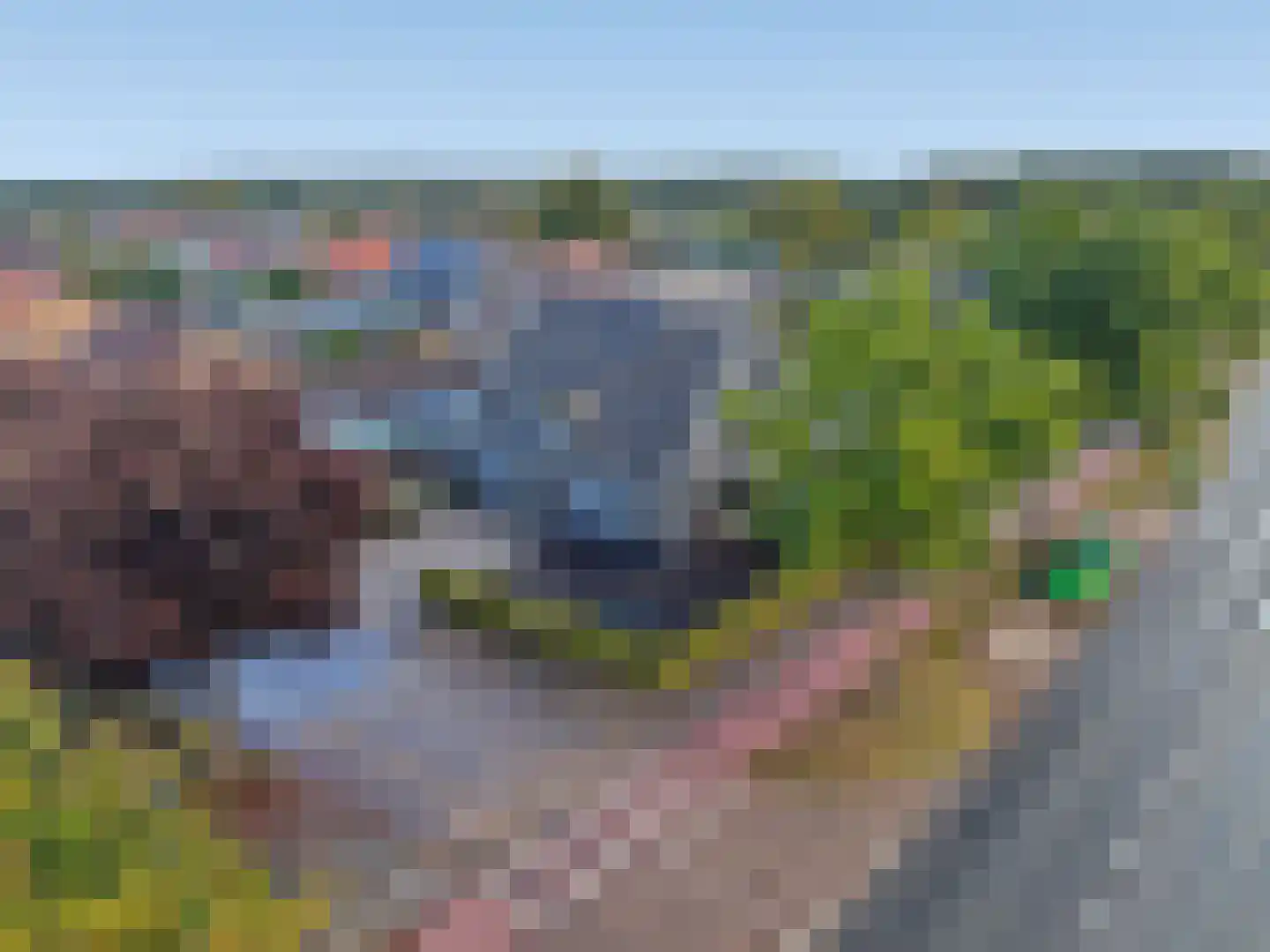 Veenendaalsestraatweg 25 Elst Ut thumbnail 29