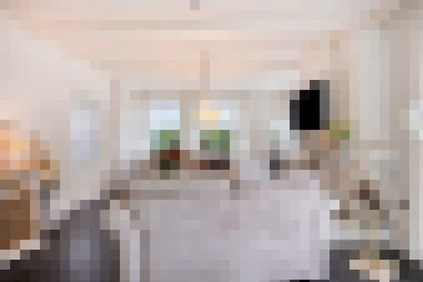 Veenendaalsestraatweg 33 Elst Ut thumbnail 10
