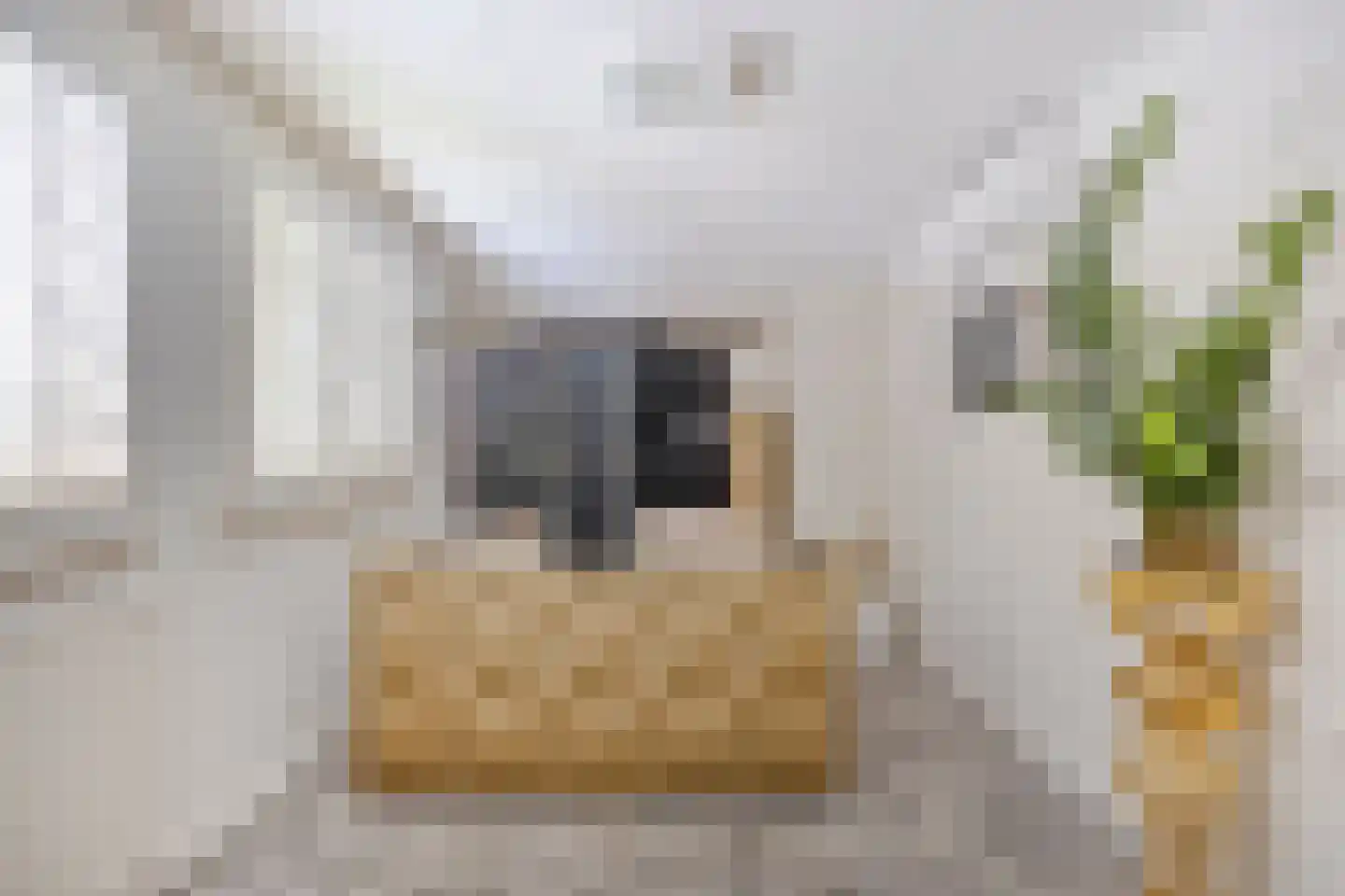 Veenendaalsestraatweg 33 Elst Ut thumbnail 22