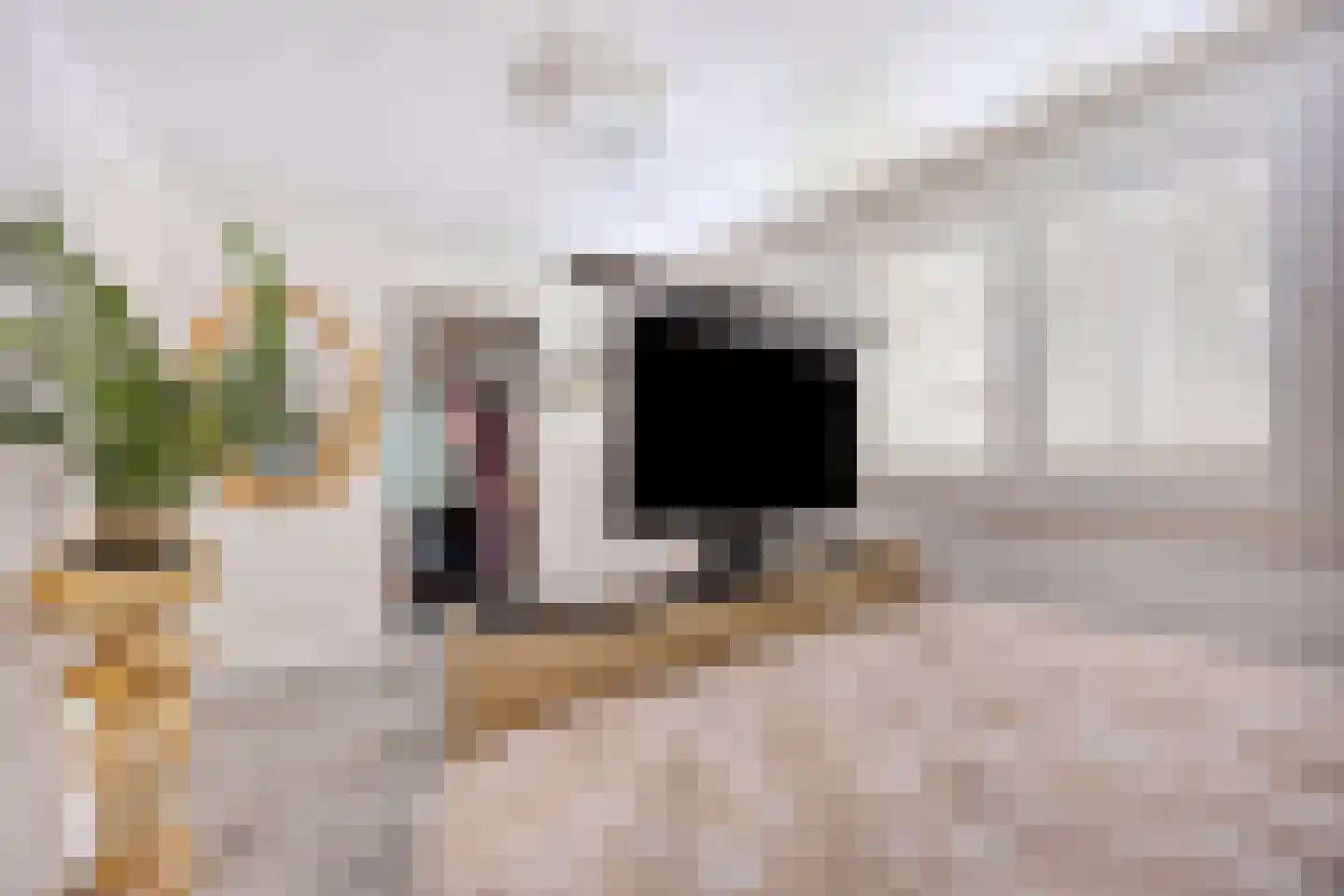 Veenendaalsestraatweg 33 Elst Ut thumbnail 23