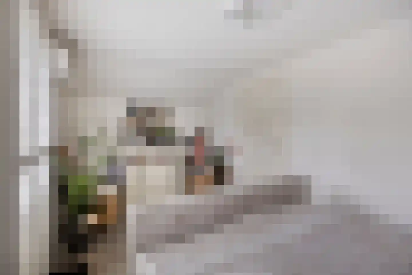 Veenendaalsestraatweg 33 Elst Ut thumbnail 28