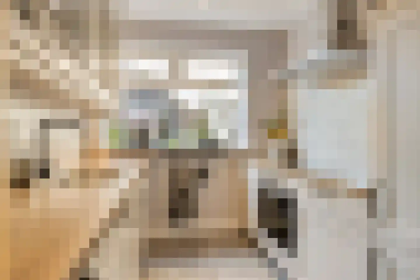 Veenendaalseweg 24 De Klomp thumbnail 11