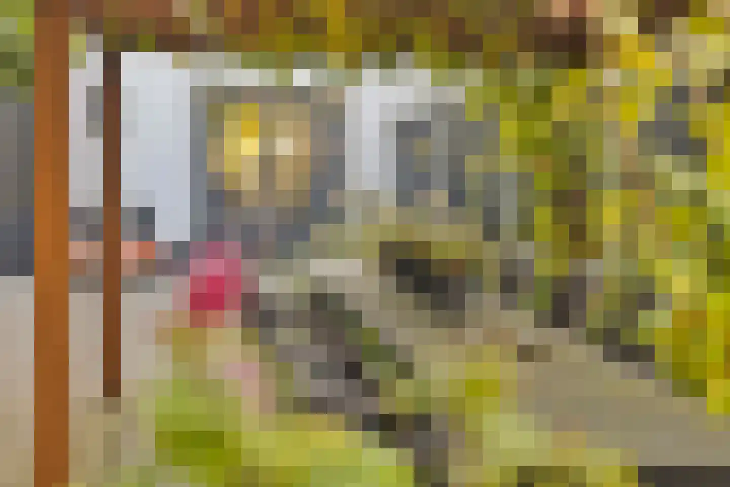Veenendaalseweg 24 De Klomp thumbnail 31