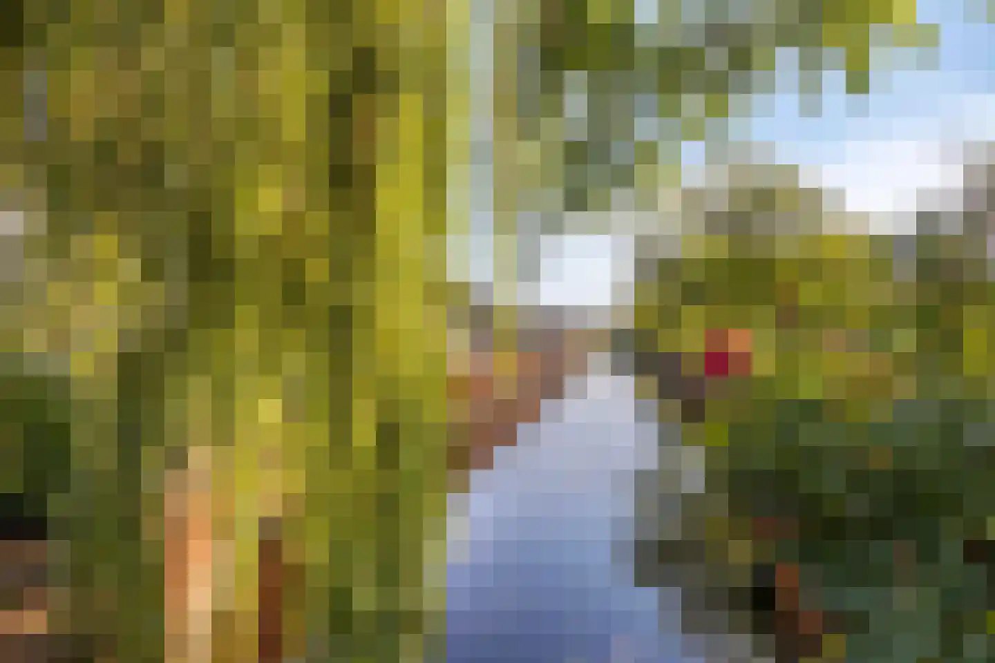 Veenendaalseweg 24 De Klomp thumbnail 46