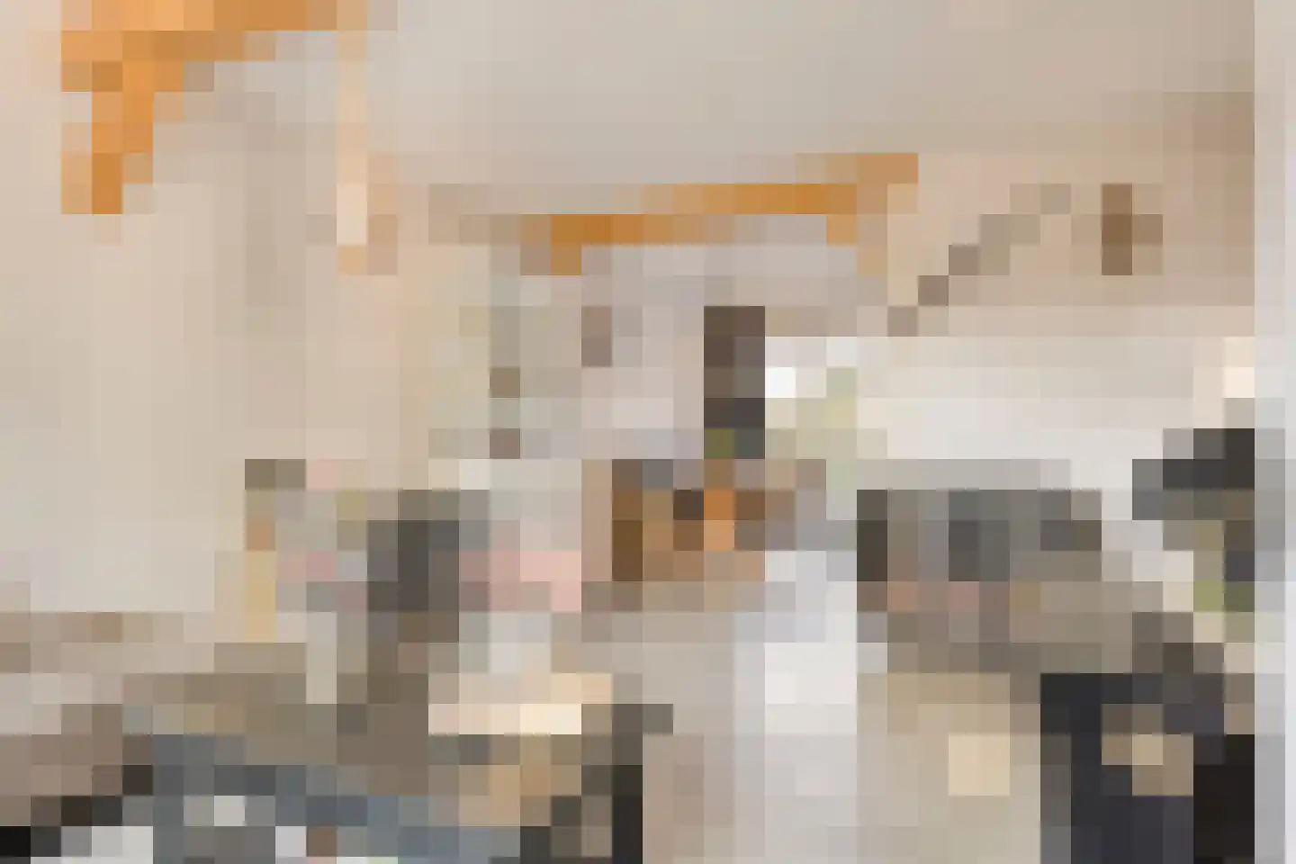 Veenendaalseweg 24 De Klomp thumbnail 7