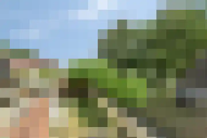 Veenendaalseweg 25 De Klomp thumbnail 21