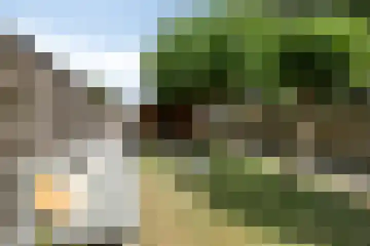 Veenendaalseweg 25 De Klomp thumbnail 26