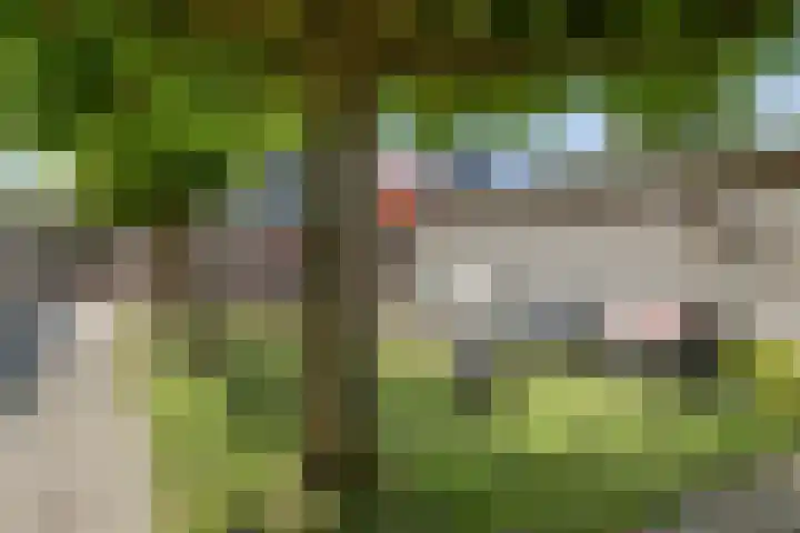 Veenendaalseweg 25 De Klomp thumbnail 27