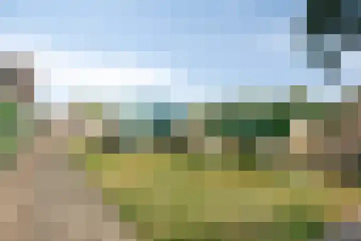 Veenendaalseweg 25 De Klomp thumbnail 30