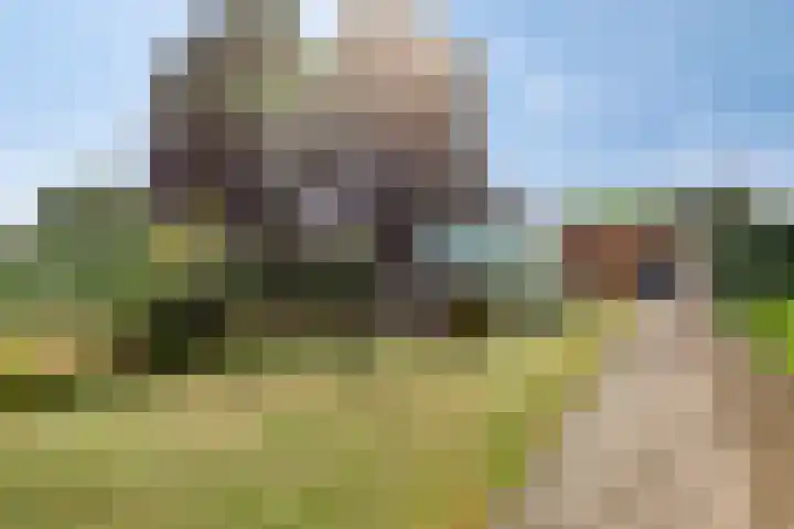 Veenendaalseweg 25 De Klomp thumbnail 31