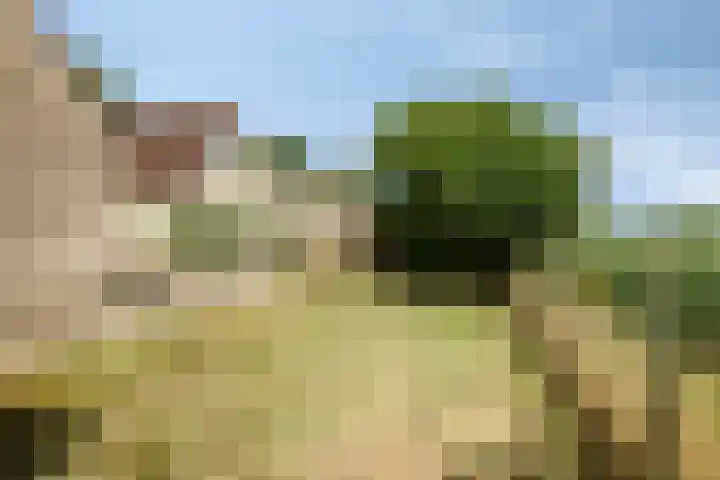 Veenendaalseweg 25 De Klomp thumbnail 33