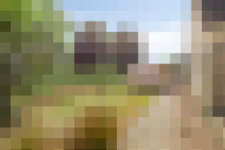 Veenendaalseweg 25 De Klomp thumbnail 34