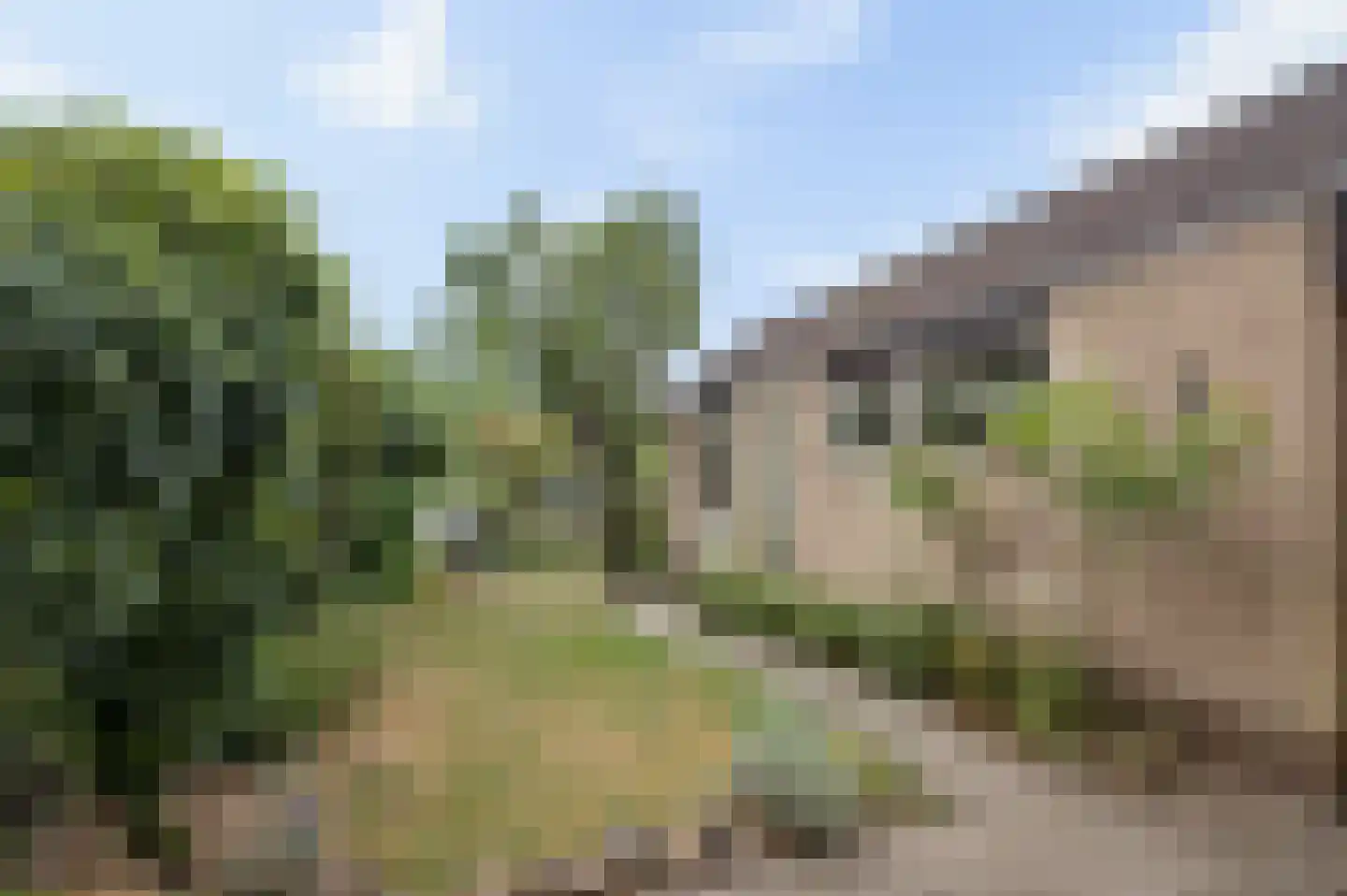 Veenendaalseweg 33 A De Klomp thumbnail 37