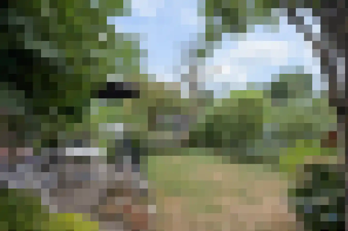 Veenendaalseweg 33 A De Klomp thumbnail 4