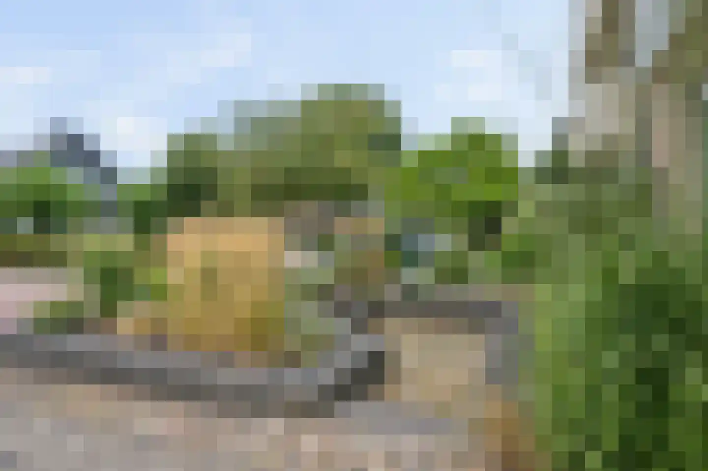 Veenendaalseweg 33 A De Klomp thumbnail 44