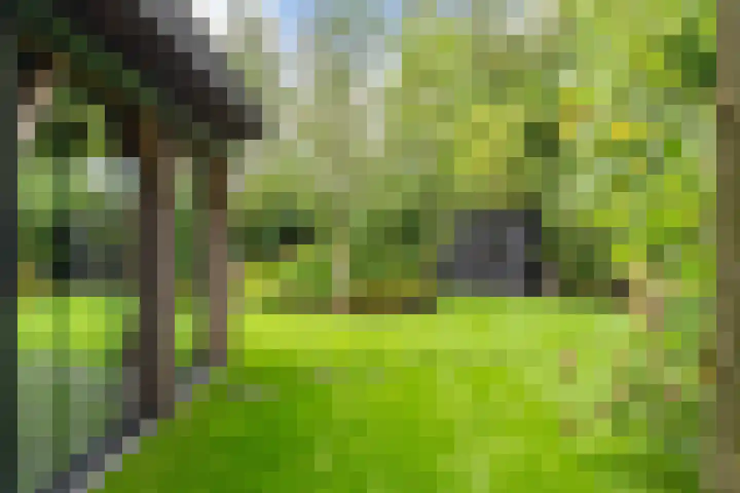 Veenendaalseweg 50 De Klomp thumbnail 32