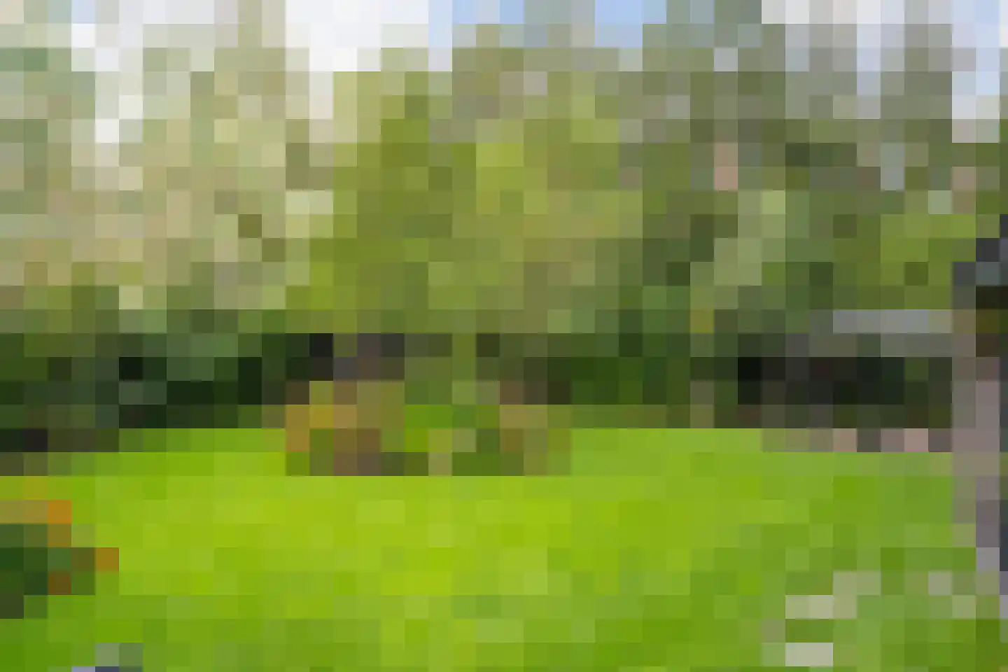 Veenendaalseweg 50 De Klomp thumbnail 34