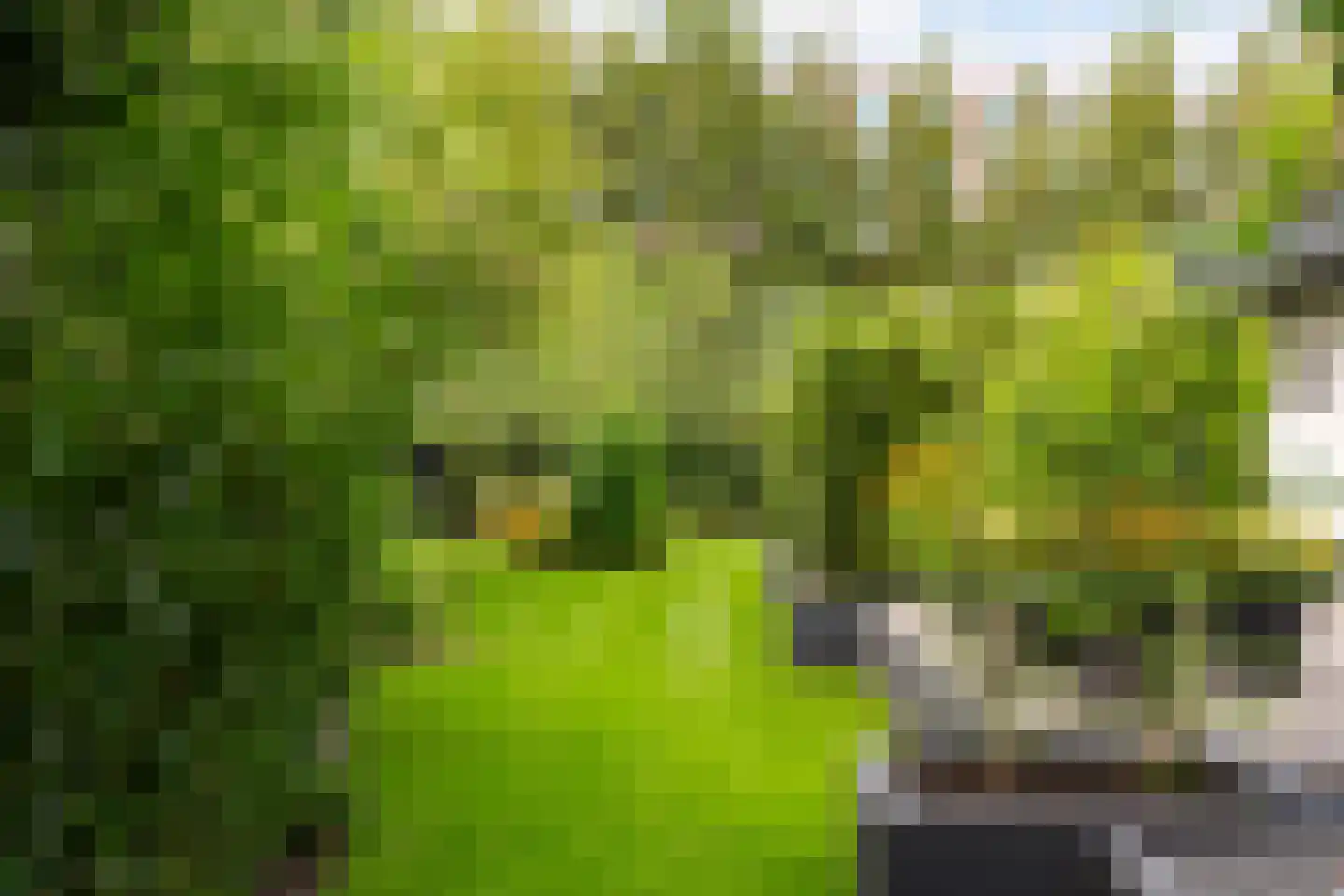 Veenendaalseweg 50 De Klomp thumbnail 35