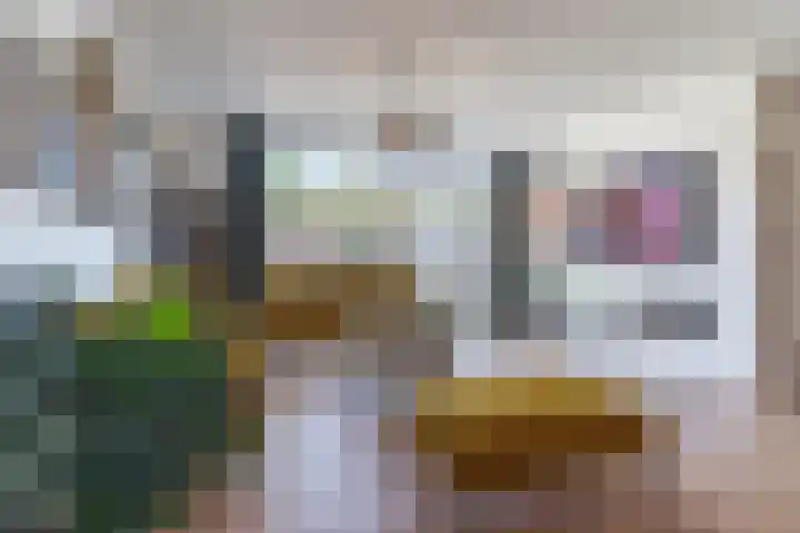 Veenendaalstraat 111 Tilburg thumbnail 11