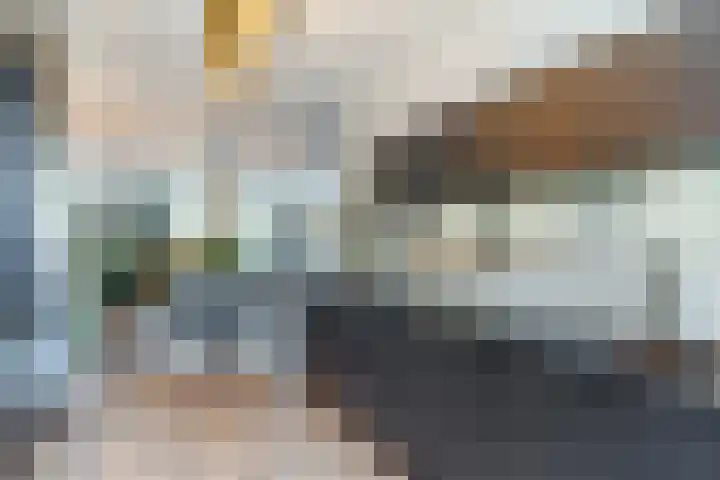 Veenendaalstraat 111 Tilburg thumbnail 22