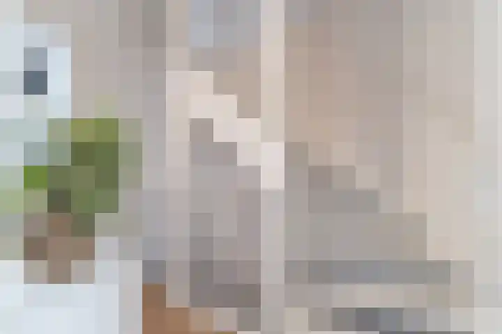 Veenendaalstraat 111 Tilburg thumbnail 27
