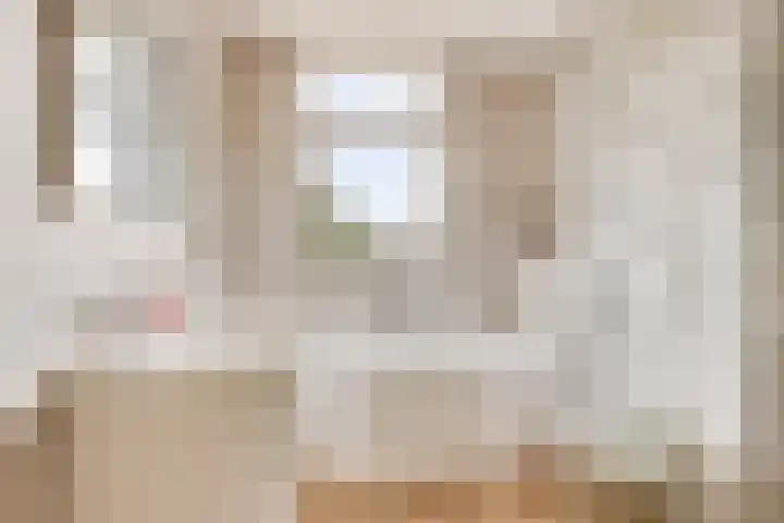 Veenendaalstraat 113 Tilburg thumbnail 17