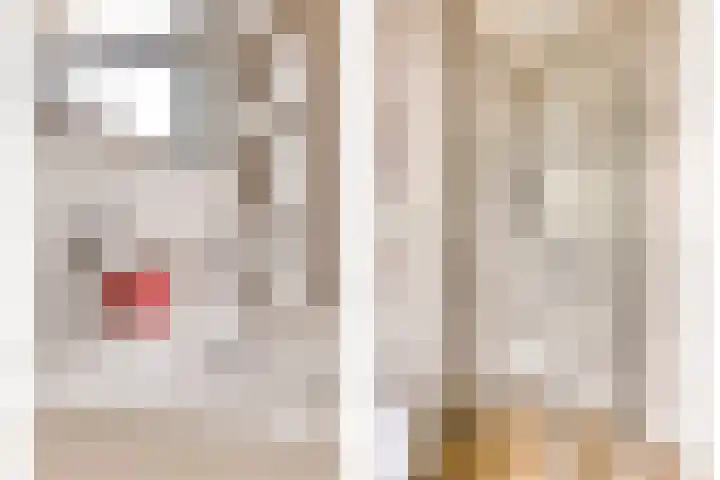 Veenendaalstraat 113 Tilburg thumbnail 18