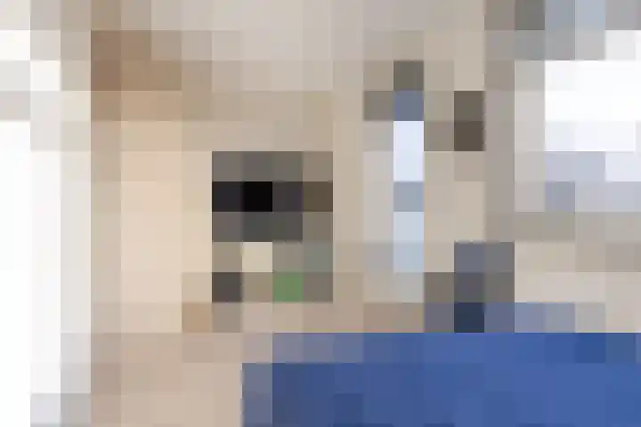 Veenendaalstraat 123 Tilburg thumbnail 17
