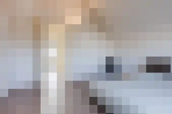 Veenendaalstraat 123 Tilburg thumbnail 27
