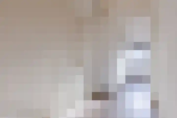 Veenendaalstraat 123 Tilburg thumbnail 31