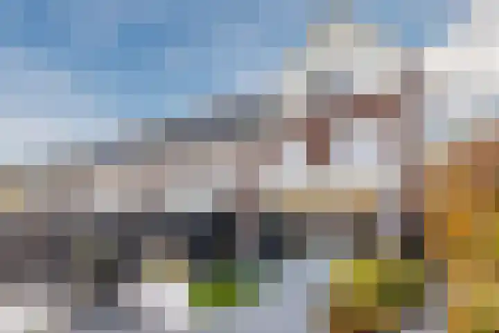 Veenendaalstraat 123 Tilburg thumbnail 32