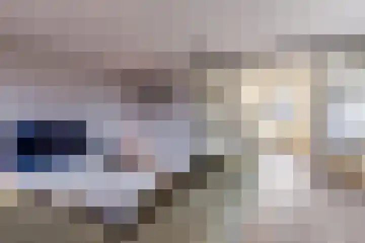 Veenendaalstraat 123 Tilburg thumbnail 5