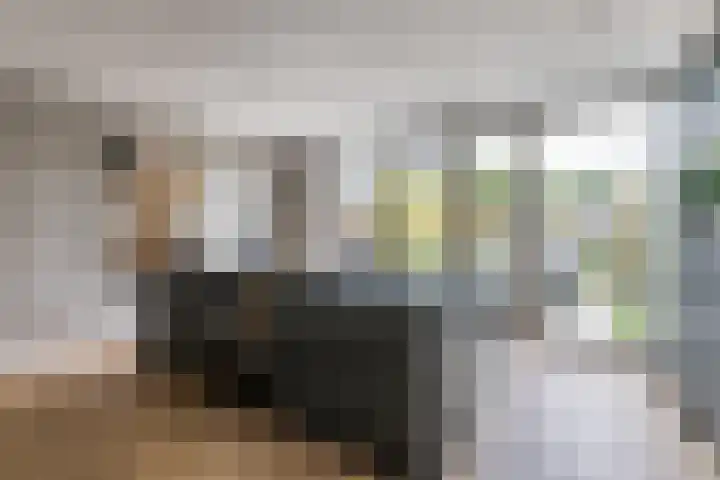 Veenendaalstraat 127 Tilburg thumbnail 11