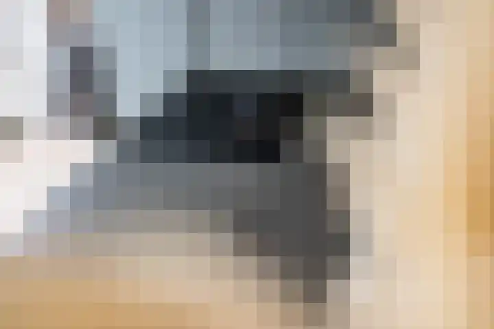 Veenendaalstraat 127 Tilburg thumbnail 15