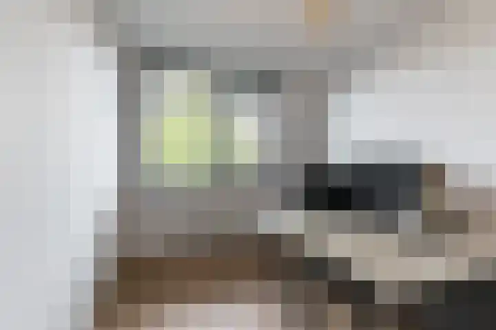 Veenendaalstraat 127 Tilburg thumbnail 21