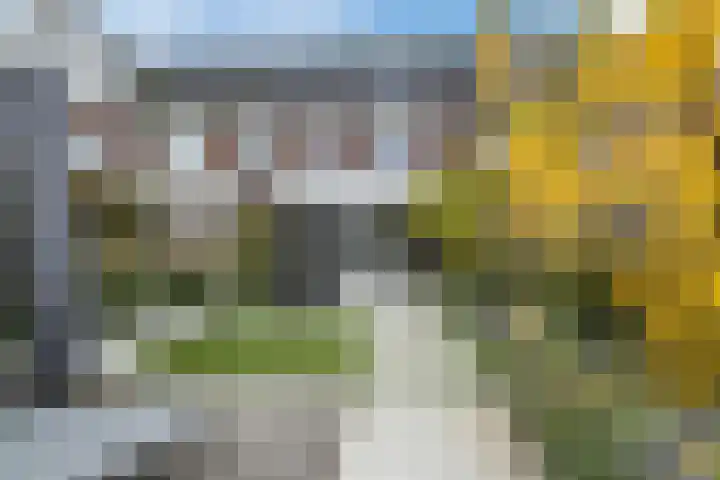 Veenendaalstraat 127 Tilburg thumbnail 36