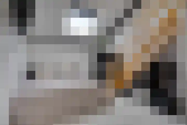 Veenendaalstraat 143 Tilburg thumbnail 33