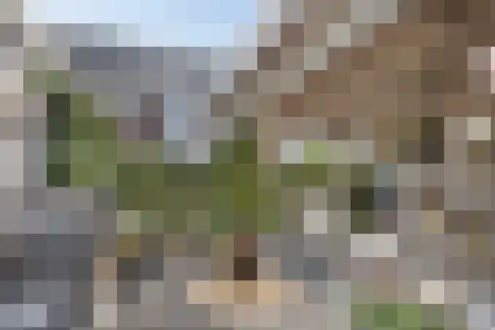 Veenendaalstraat 143 Tilburg thumbnail 38
