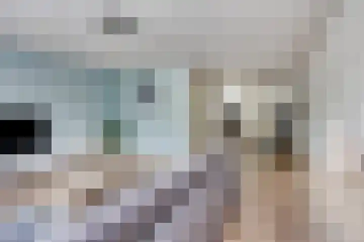 Veenendaalstraat 151 Tilburg thumbnail 10