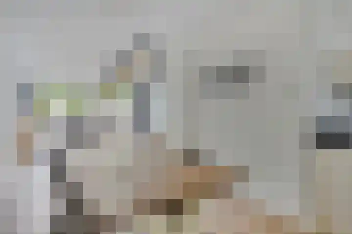 Veenendaalstraat 151 Tilburg thumbnail 13