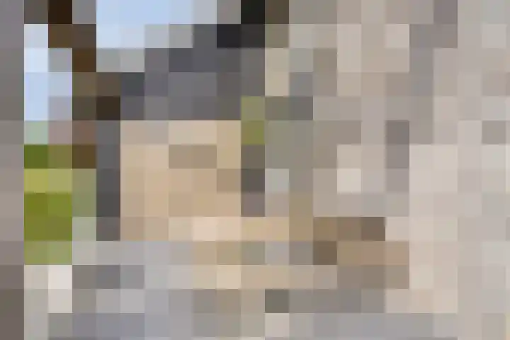 Veenerf 36 Nijkerkerveen thumbnail 10