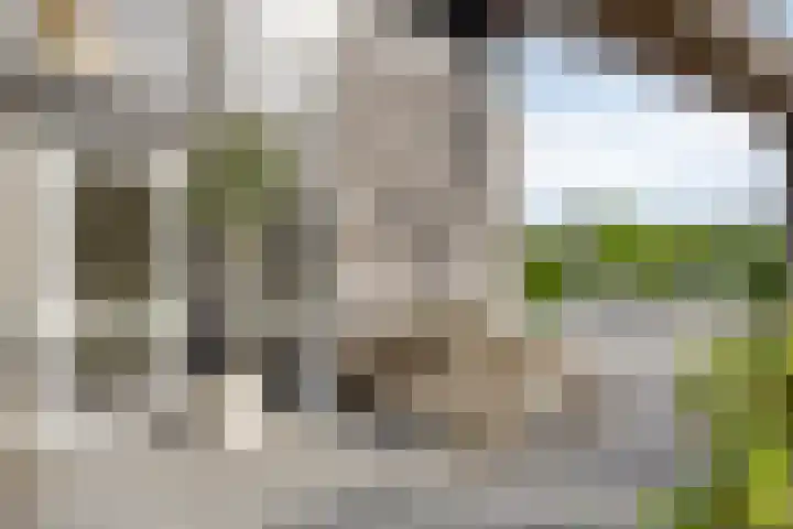 Veenerf 36 Nijkerkerveen thumbnail 11
