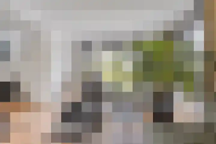 Veenerf 36 Nijkerkerveen thumbnail 16