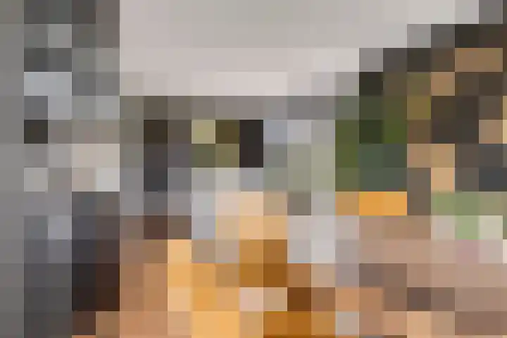 Veenerf 36 Nijkerkerveen thumbnail 19