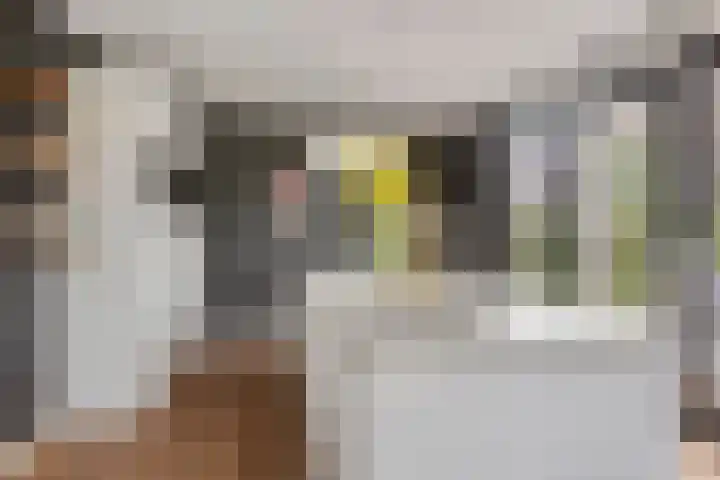 Veenerf 36 Nijkerkerveen thumbnail 20