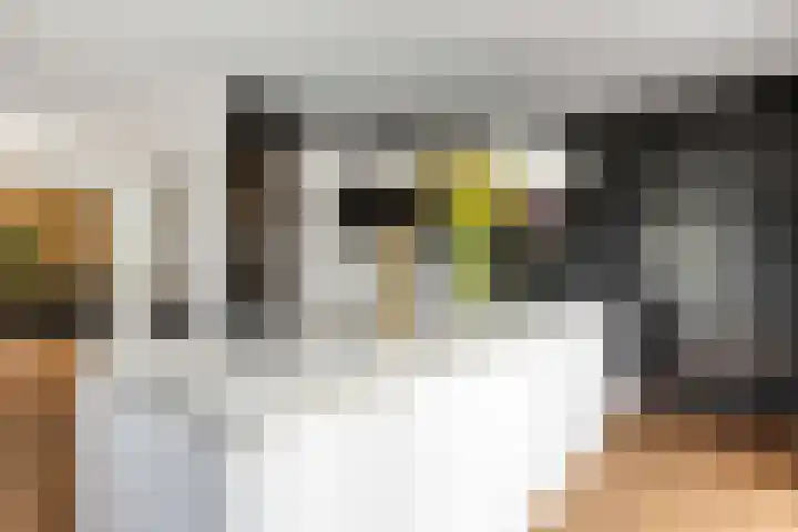 Veenerf 36 Nijkerkerveen thumbnail 21